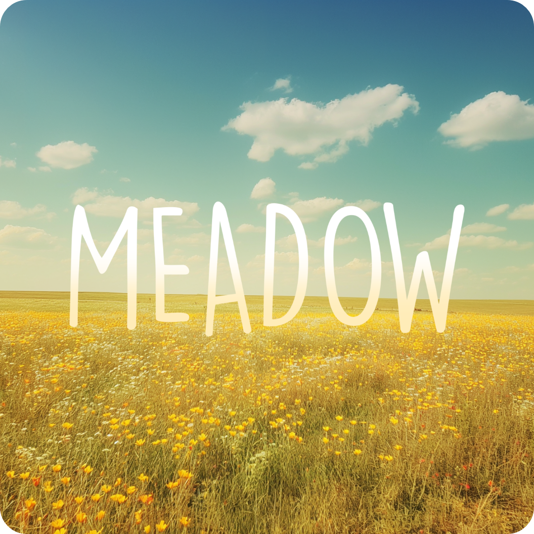 Meadow