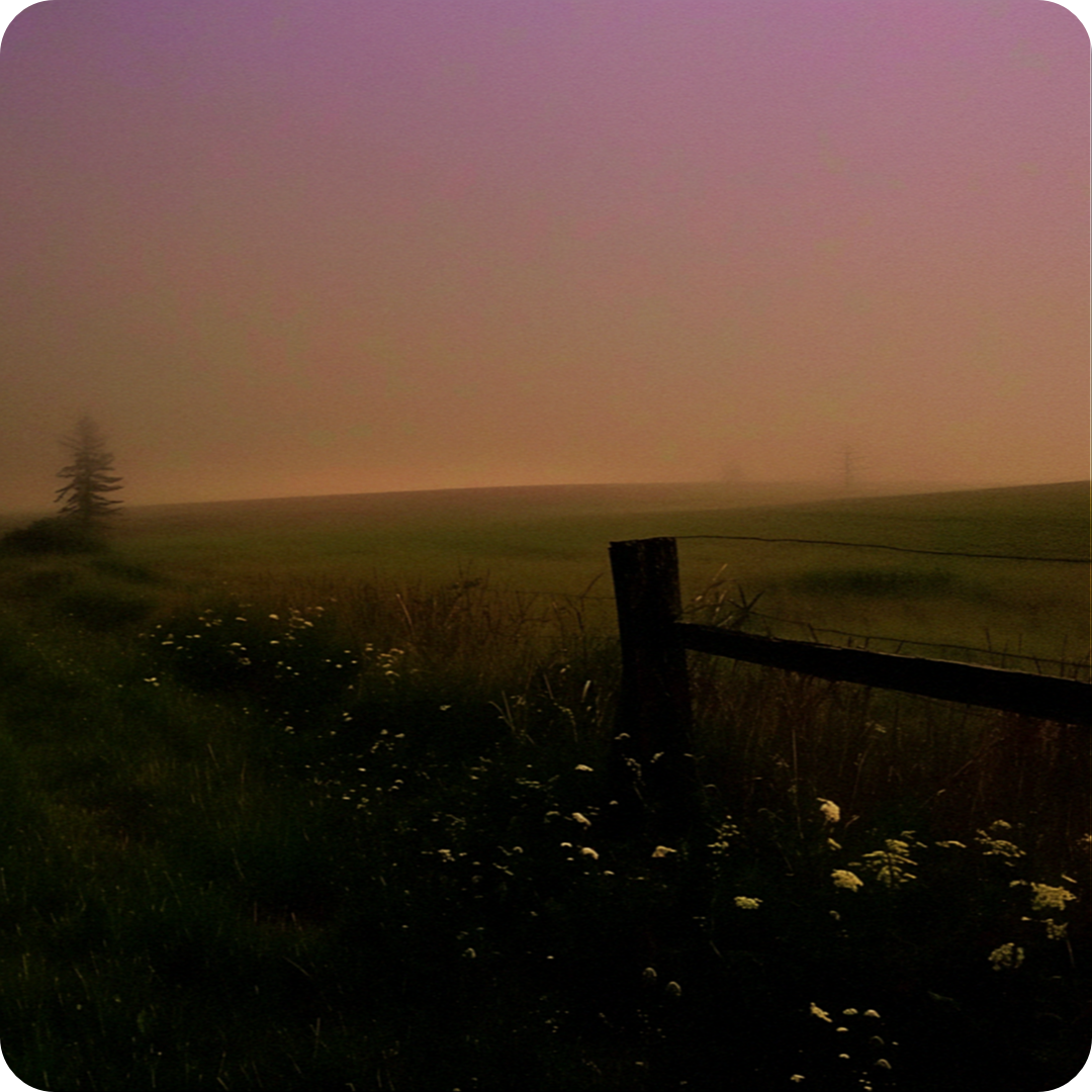 early light