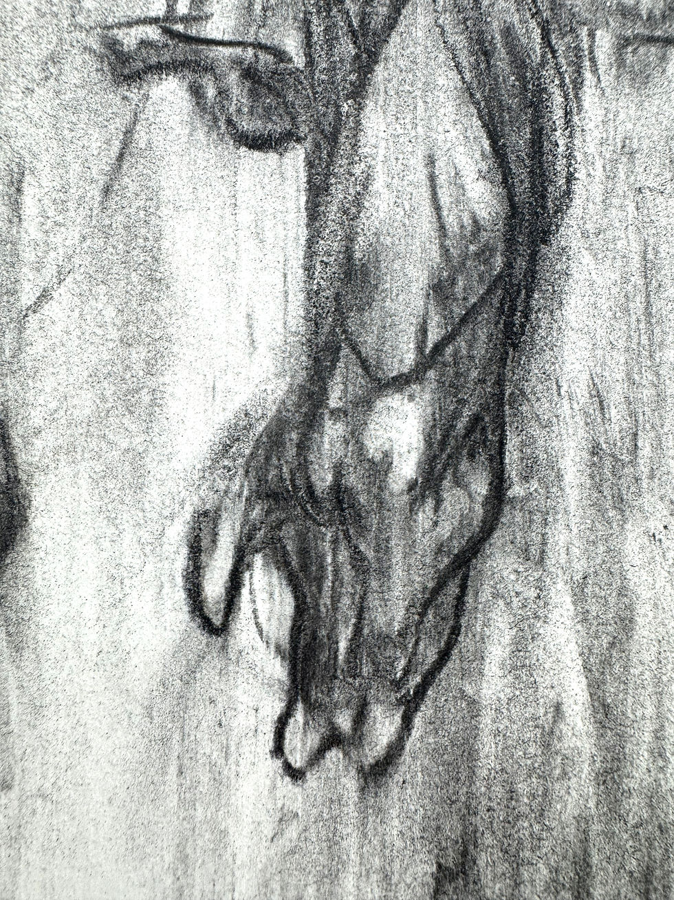 Thumbnail: ALEN Study