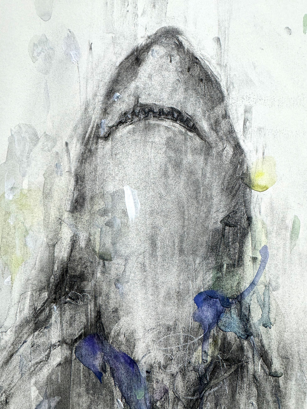 Thumbnail: SHARK