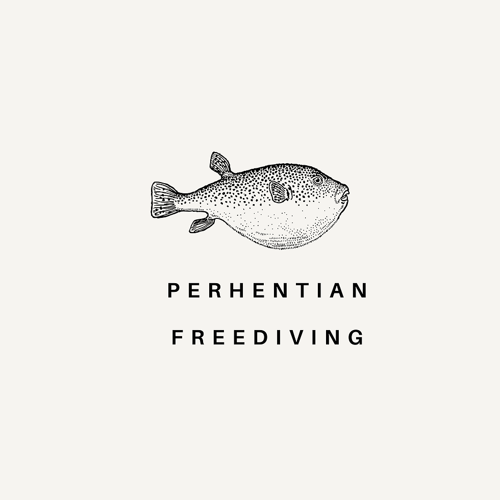 Freedive Perhentian