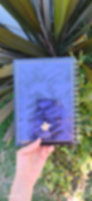 Miniatura: Cuaderno Alegría