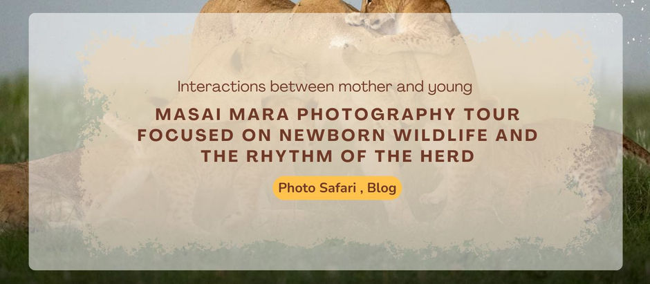 Ethical Photography Practices for Newborn Wildlife Tours