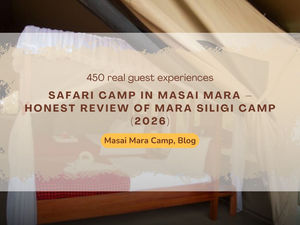What the Bush Breakfast Experience in Masai Mara Is Really Like