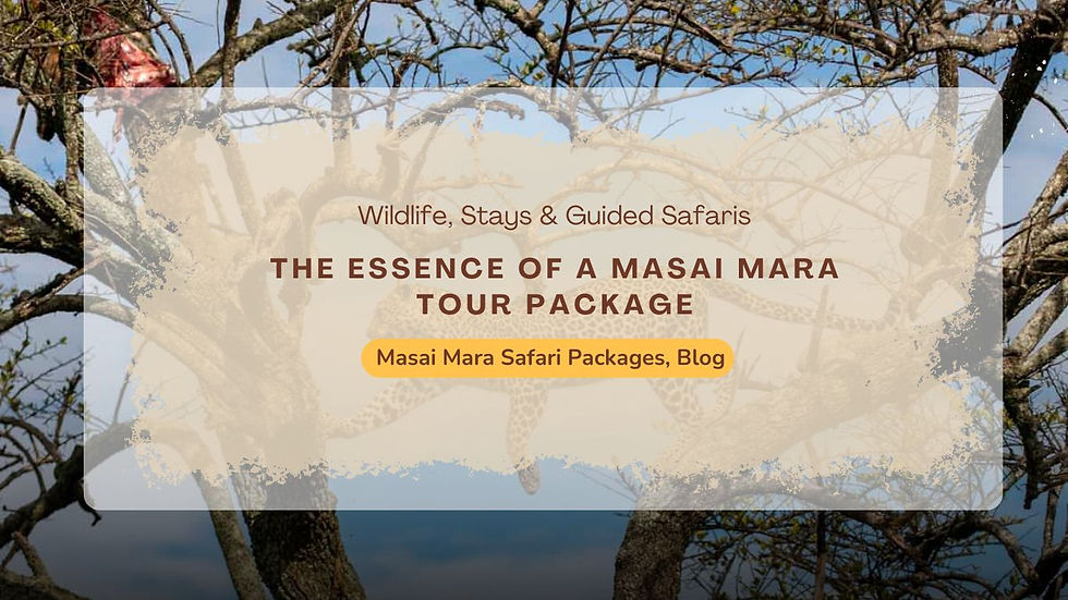 How Masai Mara Safari Packages Create Lifelong Memories