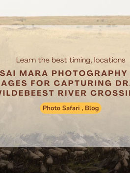 Predator Photography Opportunities in a Masai Mara Photography Tour