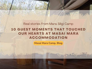 A Picnic Breakfast That Guests Still Talk About