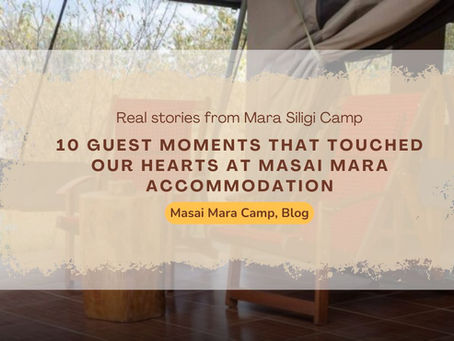 A Picnic Breakfast That Guests Still Talk About