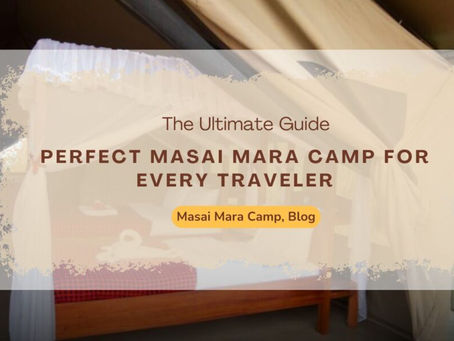 Why Mara Siligi Camp Is the Perfect Blend of Comfort and Adventure