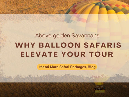Photography and Hot Air Balloon Safaris