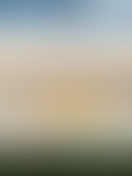 Choosing the Right Masai Mara Photography Tour Package