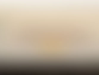 How Masai Mara Photography Tour Packages Improve Your Wildlife Shots