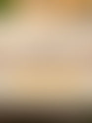 Why Mara Siligi Camp Is a Top Choice for Safari Lovers