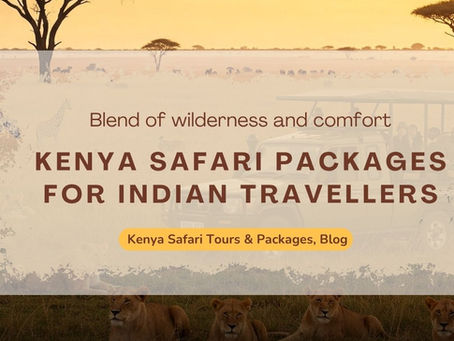 Planning Group Safari Trips in Kenya: What to Know