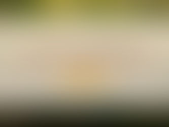 Summer Safari Experiences You’ll Enjoy at Mara Siligi