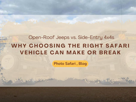 How Mara Siligi Camp Optimizes Vehicles for Photographers