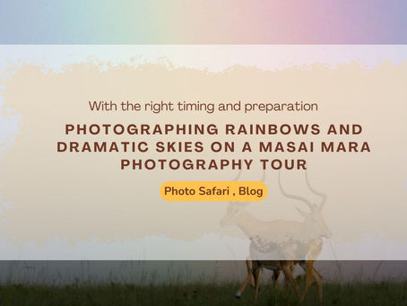 Combining Wildlife and Skies in Masai Mara Photography Safaris