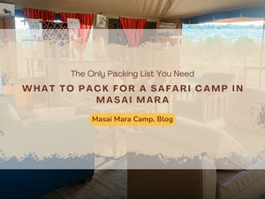 Camera Gear, Tech, and Connectivity: What Actually Works at a Safari Camp in Masai Mara