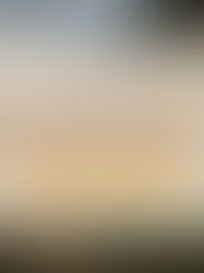 Why Masai Mara Holiday Packages Are Perfect for First-Time Safari Travelers