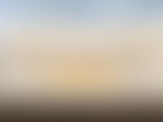 Photography Opportunities on Short vs Long Masai Mara Safaris