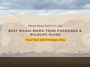 Strategic Logistics: Saving Time with the Right Masai Mara Tour Packages