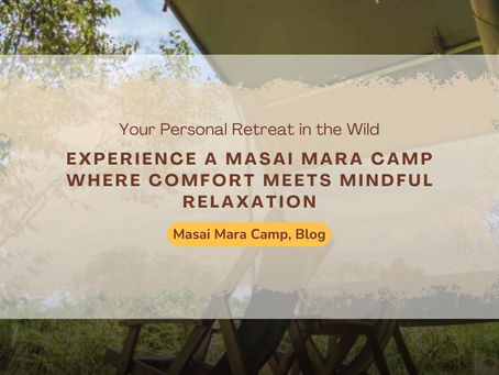 A Guide to Relaxing Safari Stays in the Masai Mara