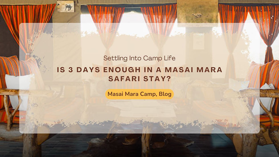 Why Mara Siligi Camp Is Among the Top Masai Mara Camps and Lodge