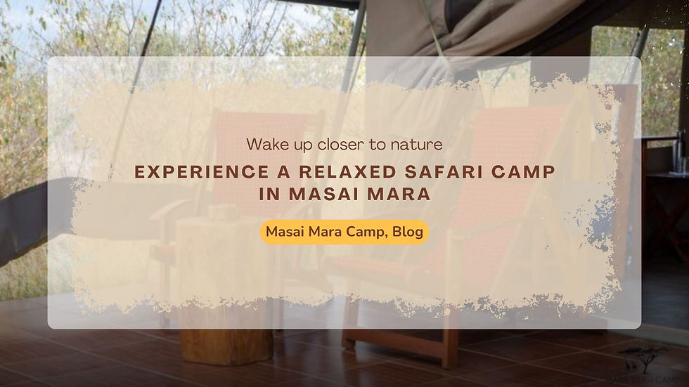 Choosing the Right Safari Camp for Your Masai Mara Adventure
