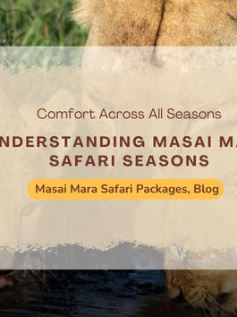Why Season-Based Planning Boosts Your Safari Experience