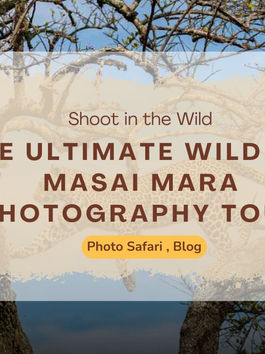 Best Time to Shoot: Seasons That Shape Your Story