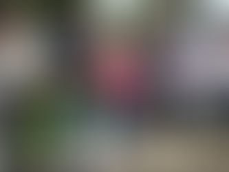 Prefeitura de Ubatuba consegue verba para construir nova sede da APAE no Estufa II