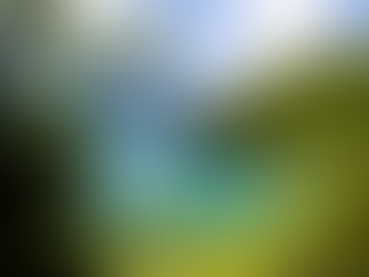 Ubatuba, apesar dos problemas de infraestrutura, se destaca como um dos destinos mais visitados do país por suas belezas naturais