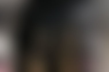 Centro de Controle de Zoonoses de Caraguatatuba realiza feira de adoção neste sábado com cerca de 30 animais