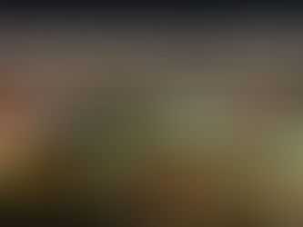 Ilhabela recebe primeira etapa da Arena Freestyle Show 2024