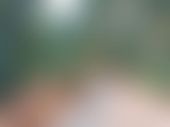 Prefeito Reinaldinho cobra Governo Federal repasse da União para conclusão das obras