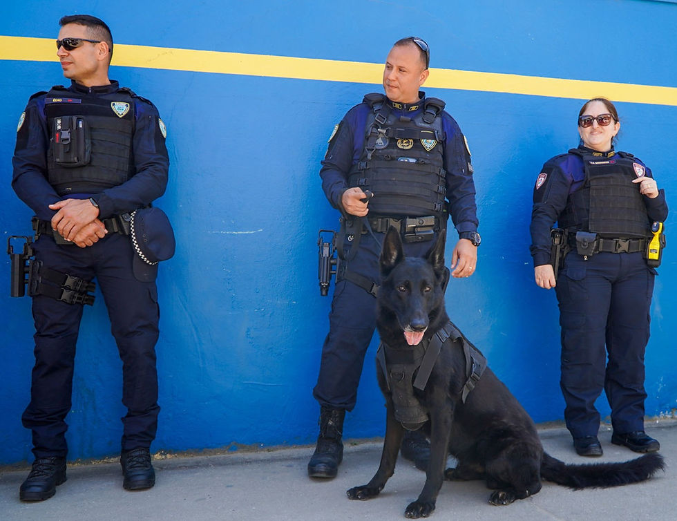 Com mais de 12,5 mil atendimentos no ano, Polícia Municipal soma 1,6 mil só em agosto