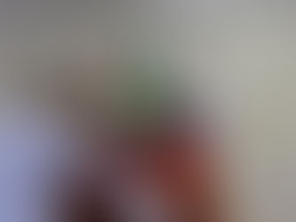 Em Caraguatatuba, contribuintes poderão quitar dívidas com até 100% de desconto em juros e multa