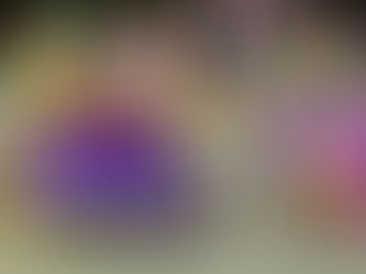 Blocos Carnavalescos e Inimigos da HP dão início ao Carnaval em Dobro de Ilhabela