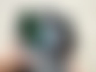 Prefeitura vistoria cerca de 7 mil imóveis em mutirão contra dengue e usa drone fiscalizar para casas de veraneio