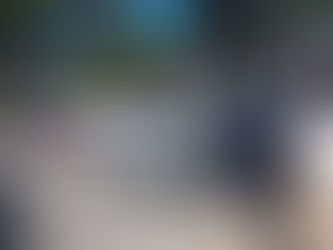 Comitê de Segurança Escolar publica Plano de Contingência