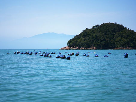 Caraguatatuba entra para guia de roteiro de mergulho do Governo do Estado