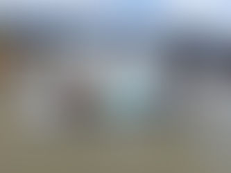 Festival Paralímpico atraiu mais de 180 participantes na Praia do Perequê-Açu