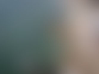 8ª edição da VIBE – Volta de Ilhabela tem recorde de inscrições