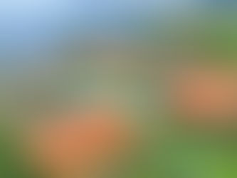 Gestão Toninho Colucci coloca Ilhabela na liderança do IDEB no Litoral Norte
