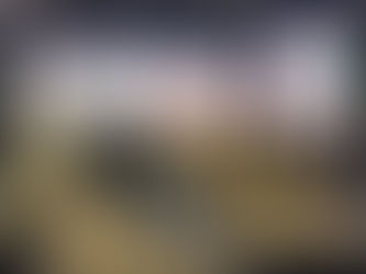 Ilhabela celebra a arte no 47º Salão Waldemar Belisário