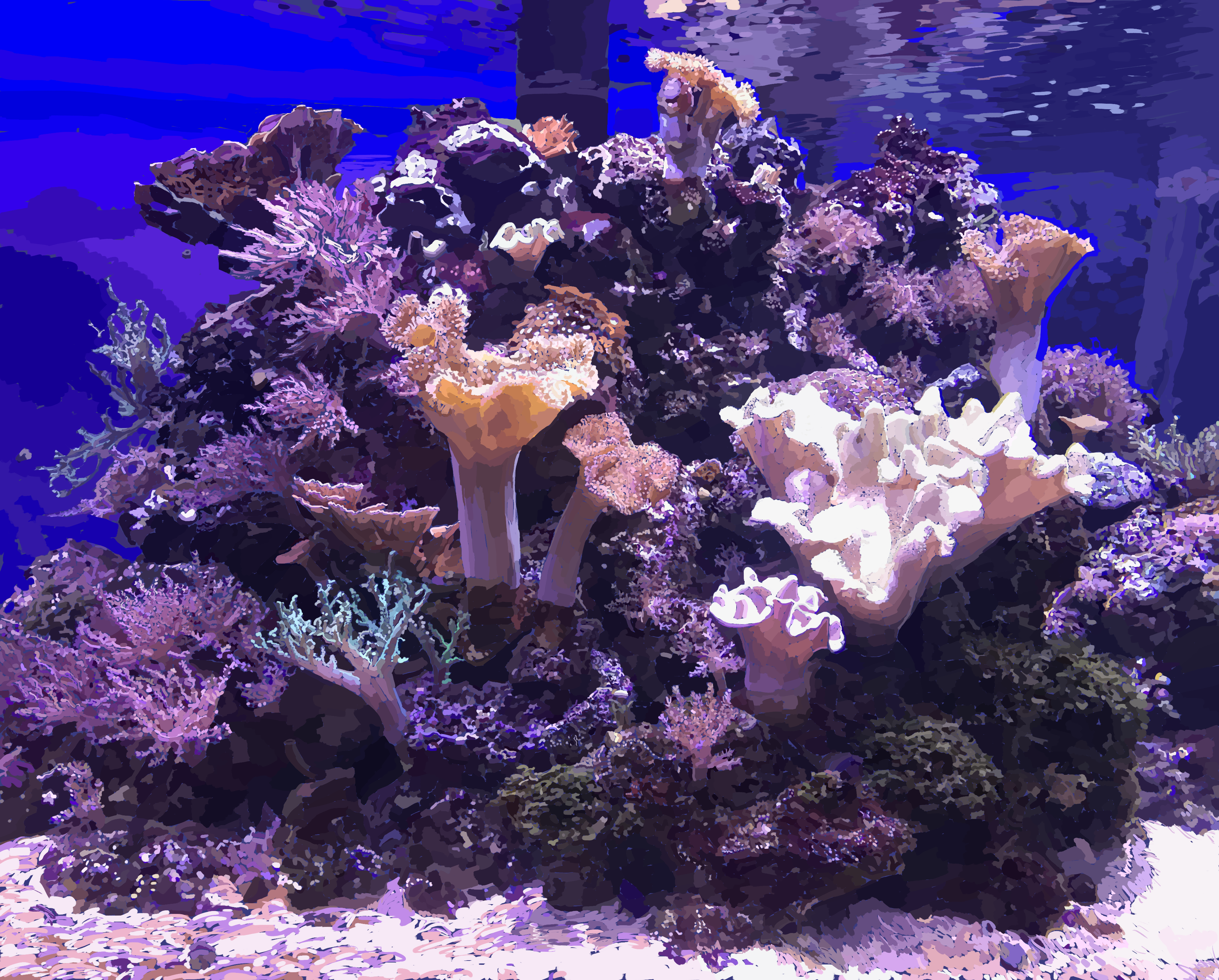 aquarium color study