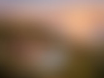 Pregled tržišta nekretnina u Istri 2026: strateške prilike za strane kupce