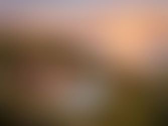 Pregled tržišta nekretnina u Istri 2026: strateške prilike za strane kupce