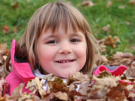 Our Nest is Half Full