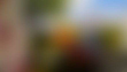 Daddying and the Toys That Bind